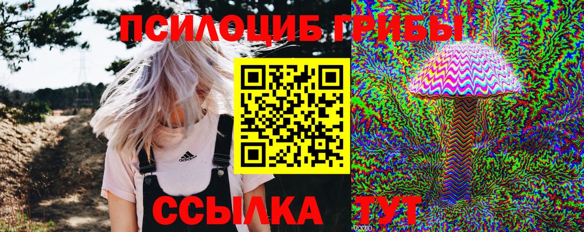 Псилоцибиновые грибы ЛСД Сальск