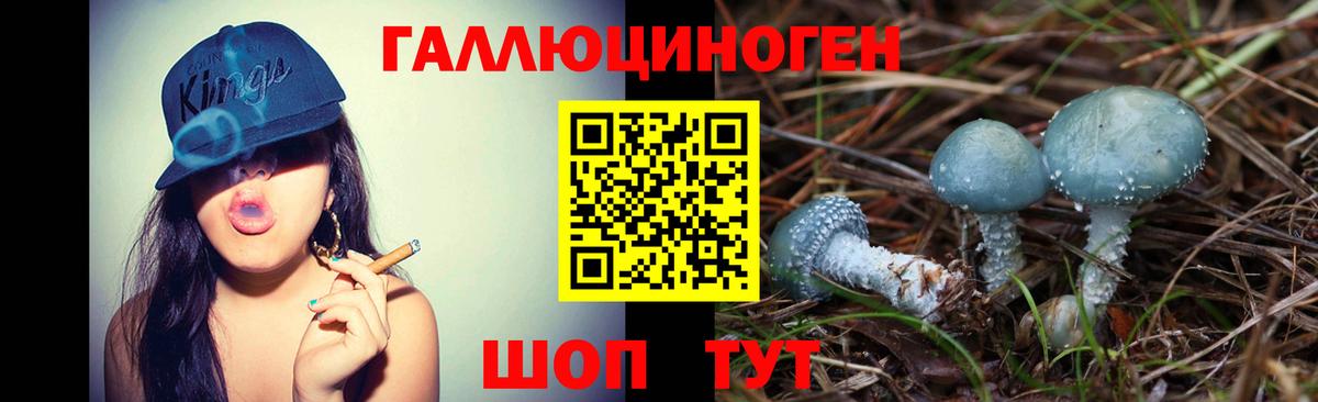 Галлюциногенные грибы прущие грибы  Вход с VPN  что такое наркотик  Сальск 